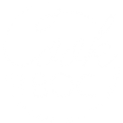 Logo principal blanc